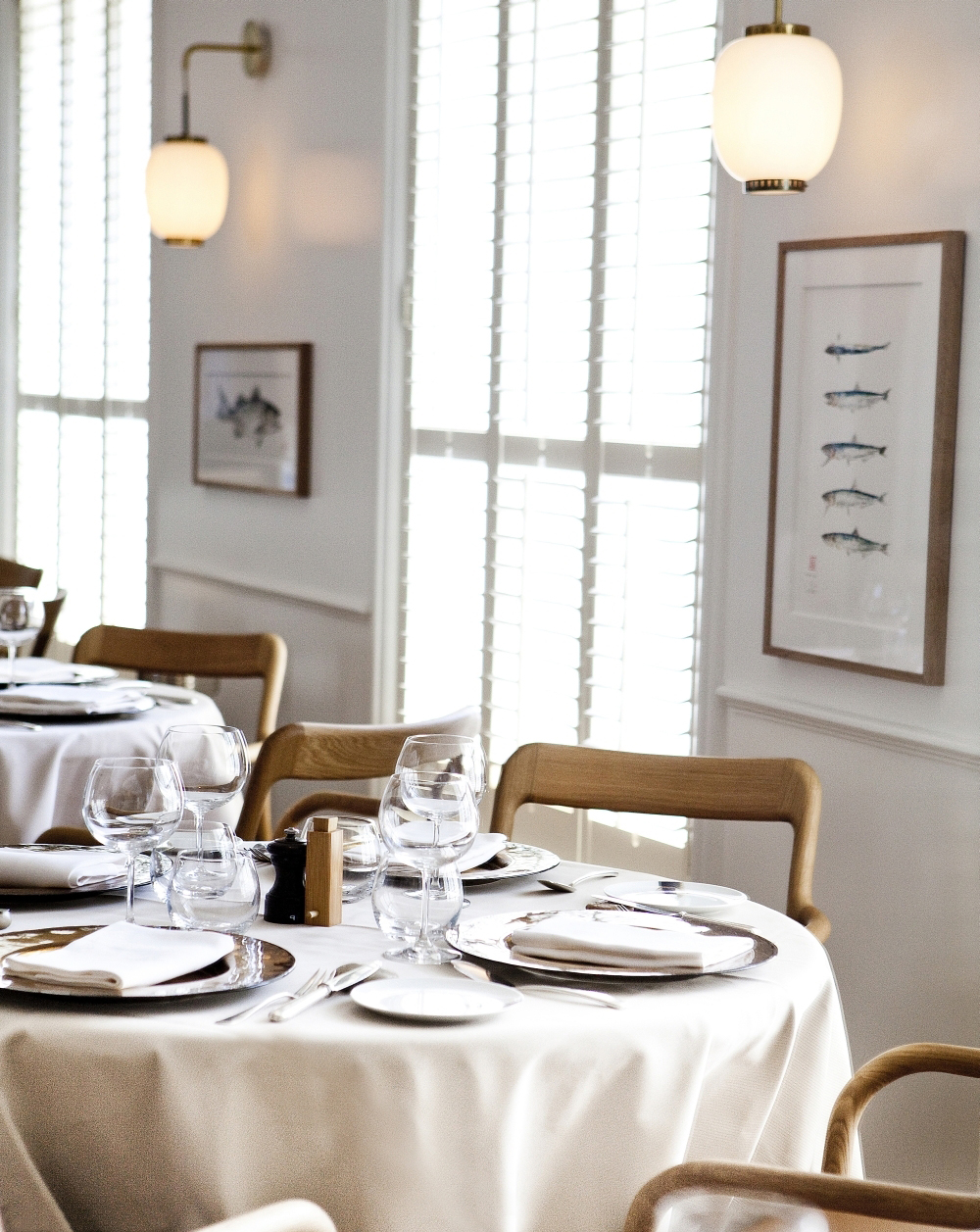 开云（中国） - 坐具|餐椅|办公家具|设计师家具|布兰卡餐椅